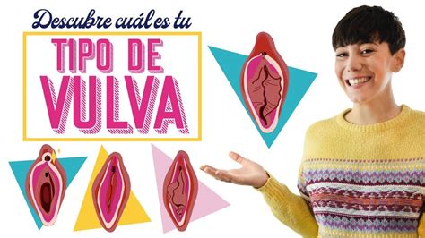 Tipos de vulvas y vaginas: conoce la tuya 